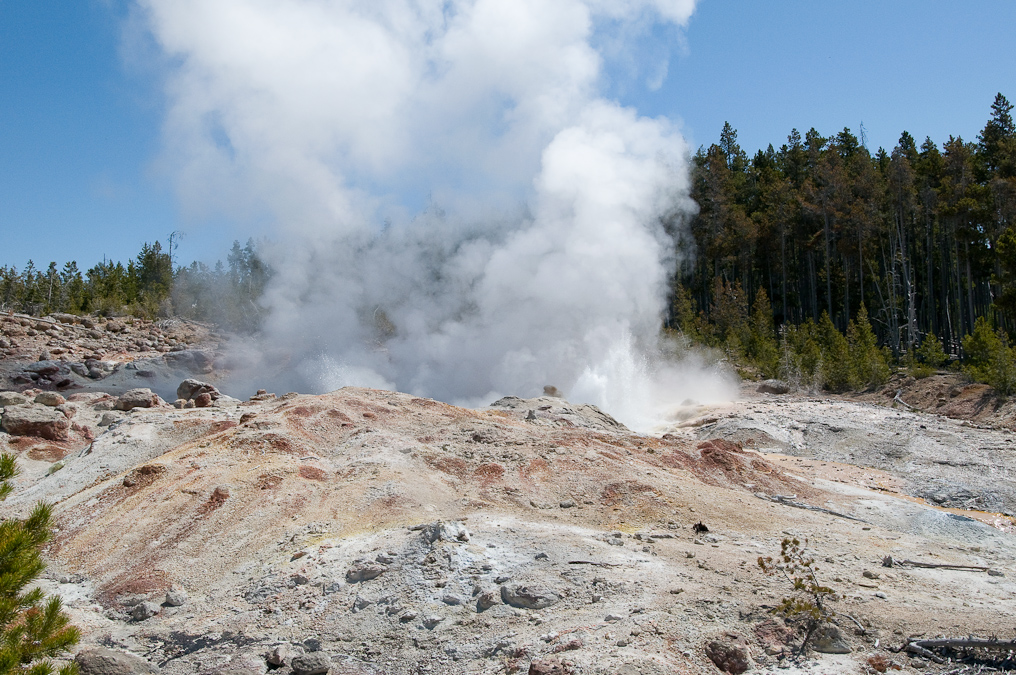 Steamboat Geyser   Norris Geyser Basin, Yellowstone National Park