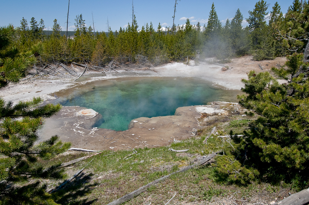 Emerald Spring   Norris Geyser Basin, Yellowstone National Park