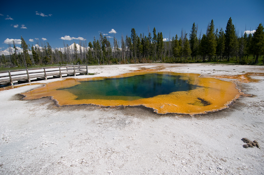 Emerald Pool   Black Sand Basin,  Yellowstone National Park