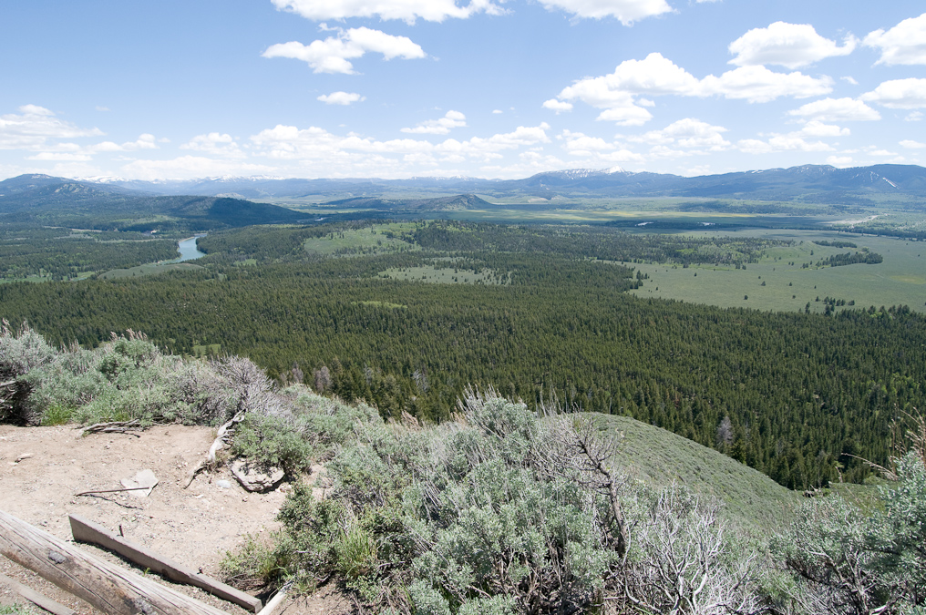 Signal Mountain View Away From Mountains   Grand Teton National Park