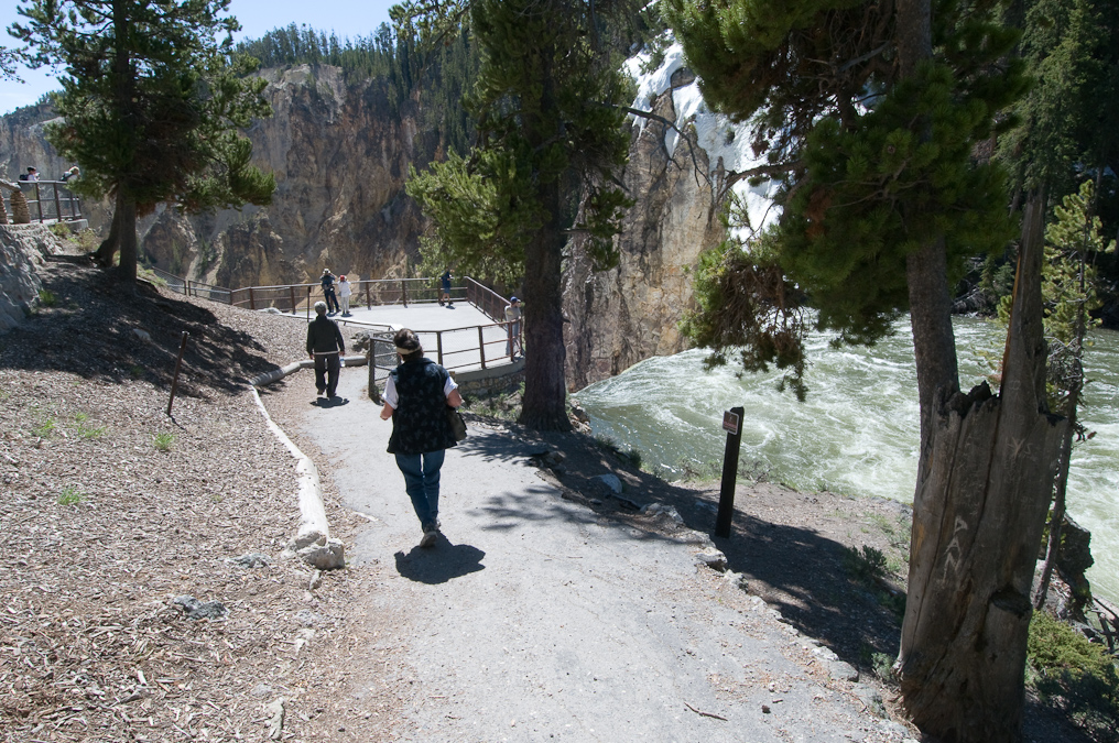 End of the Trail   Brink of the Lower Falls, Yellowstone National Park