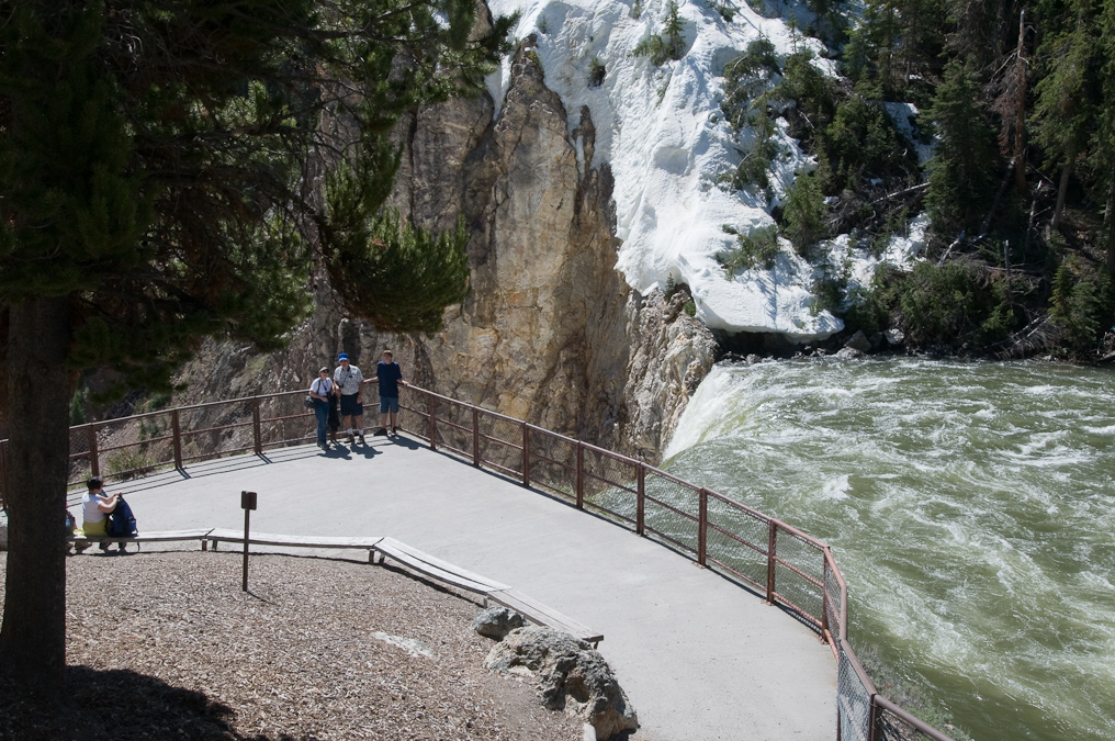 Family Shot at the Brink   Brink of the Lower Falls, Yellowstone National Park