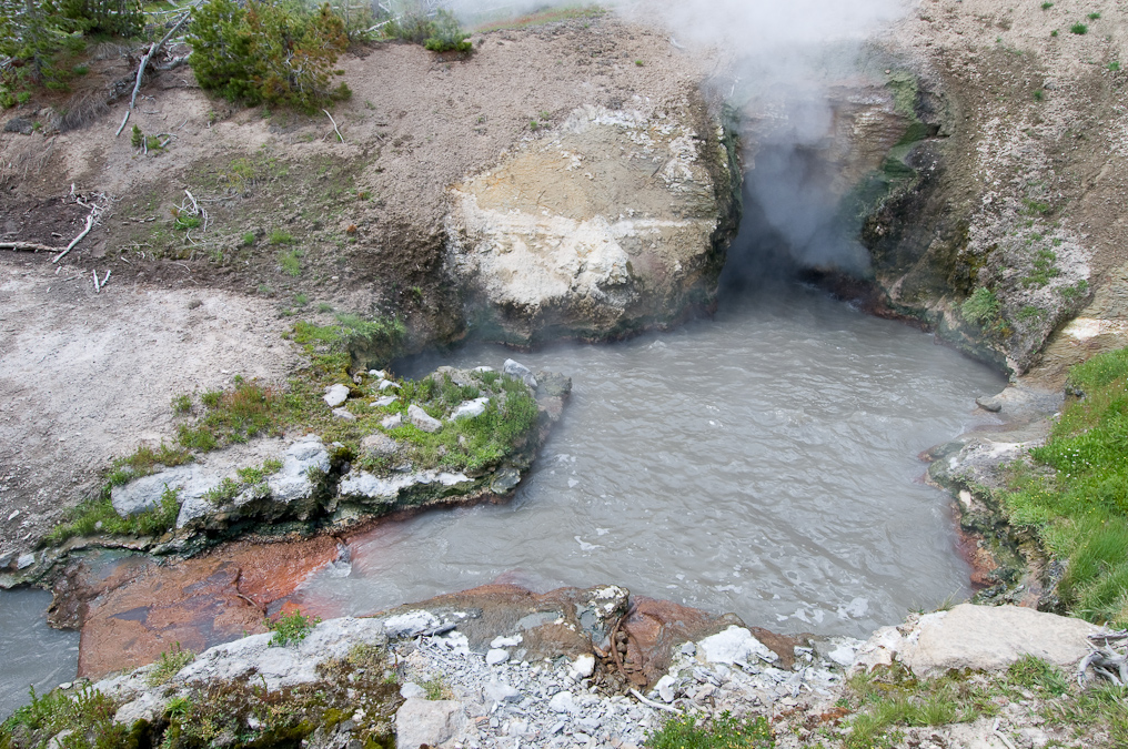 Dragon's Mouth Spring   Mud Volcano Area, Yellowstone National Park