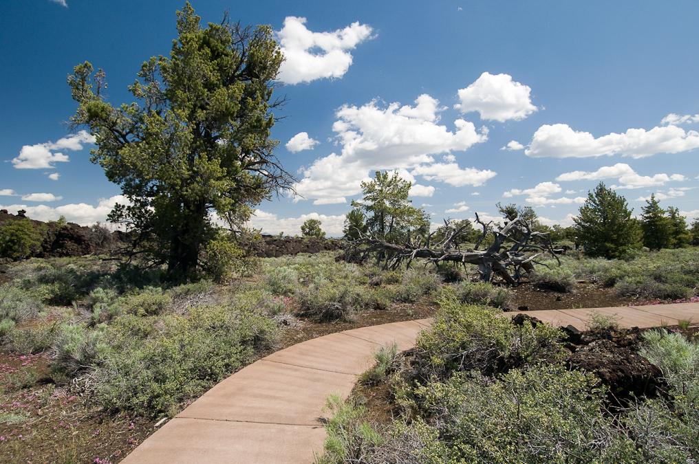 Devil's Orchard Trail   Craters of the Moon National Monument