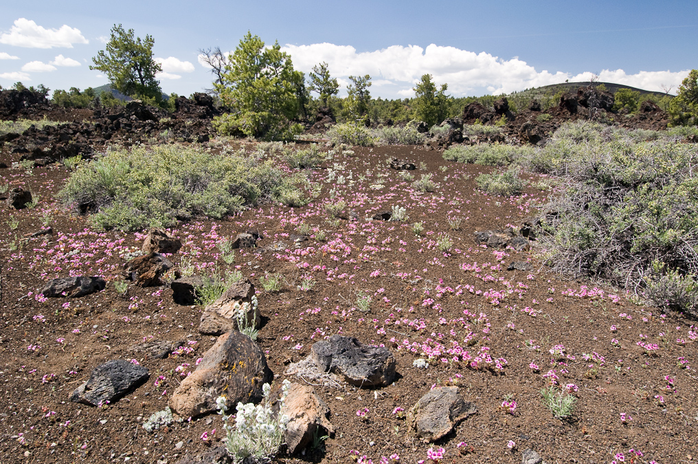 Devil's Orchard Trail   Craters of the Moon National Monument
