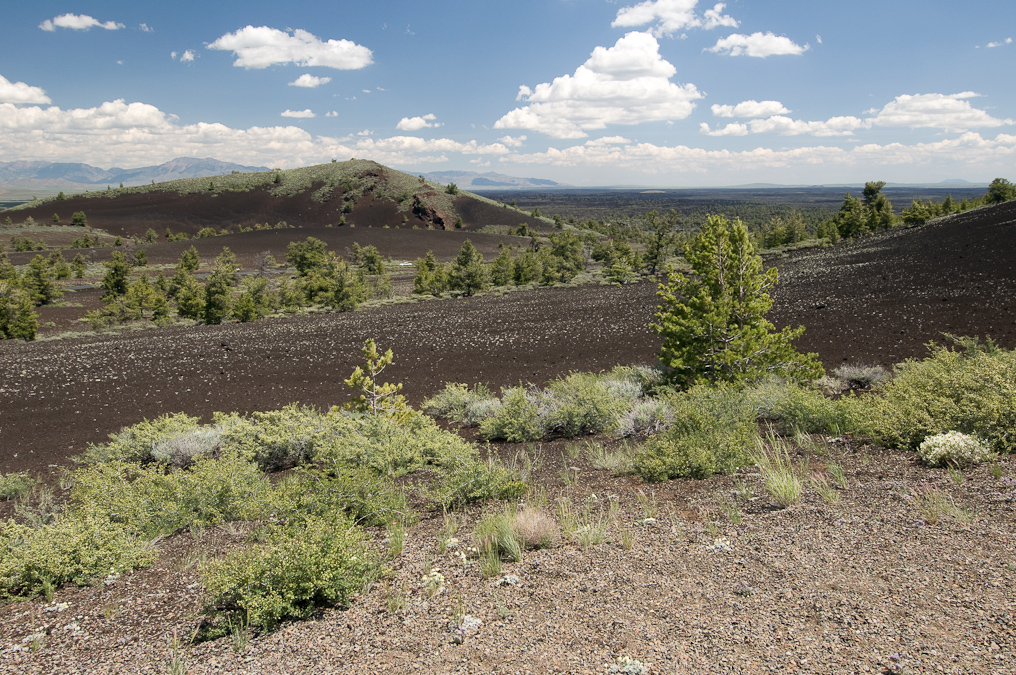 Paisley Cone   Craters of the Moon National Monument