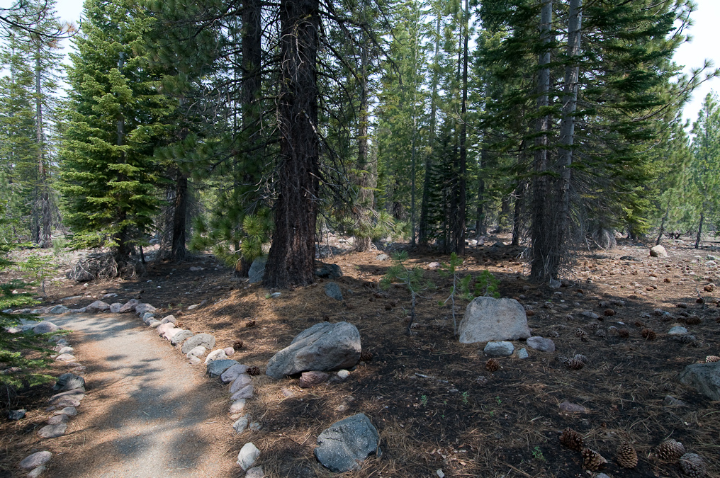 Devastated Area   Lassen Volcanic National Park