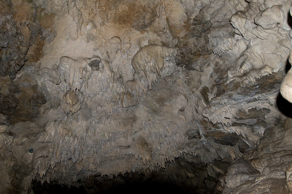 Ceiling   Oregon Caves National Monument