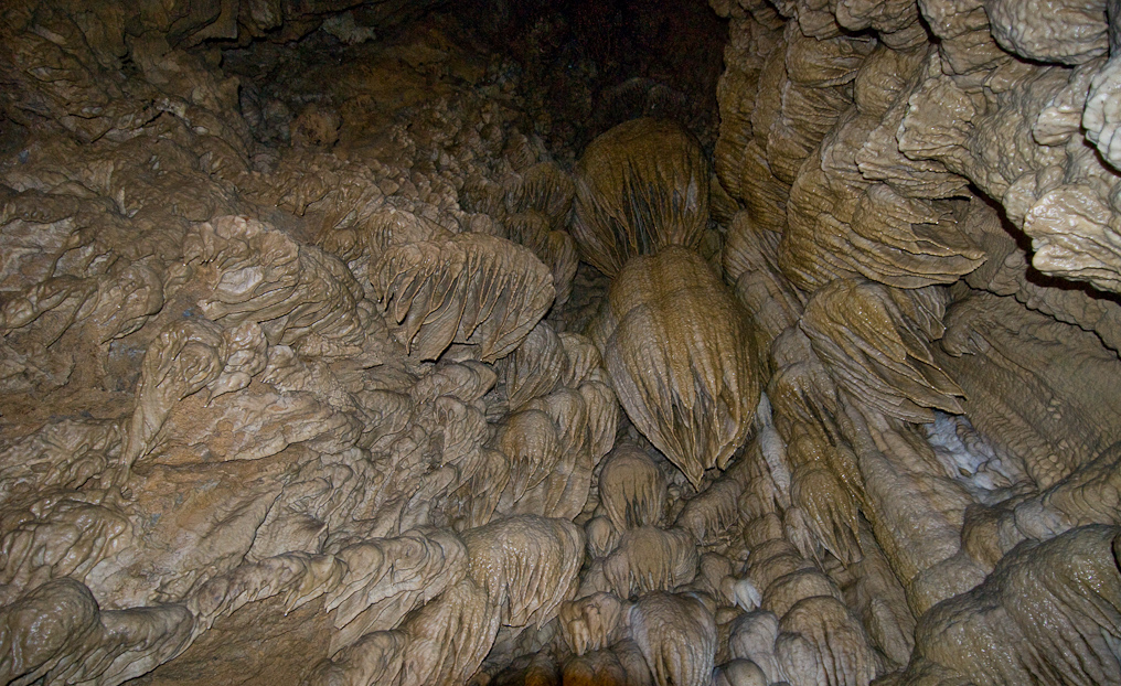 Ceiling Detail   Oregon Caves National Monument