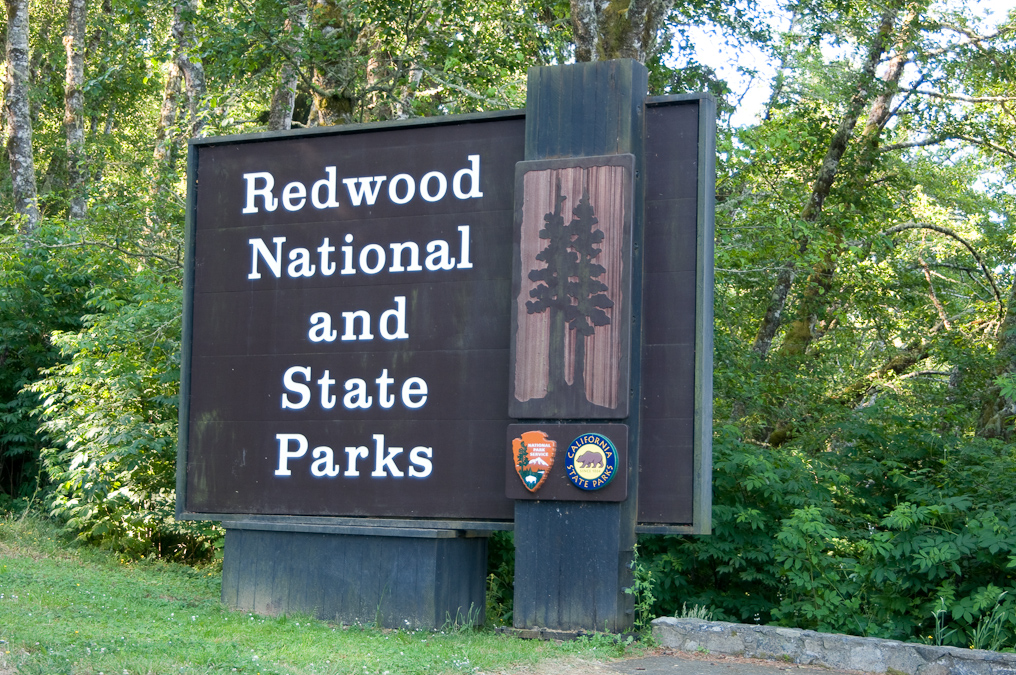    Redwood National Park