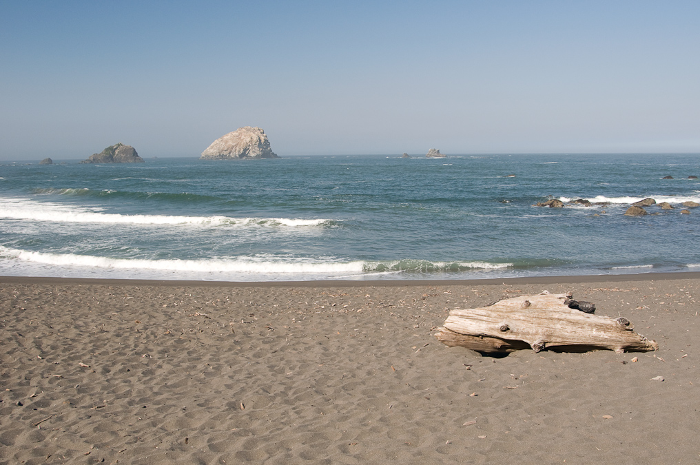 Picnic Area Along the Coast   Redwood National Park