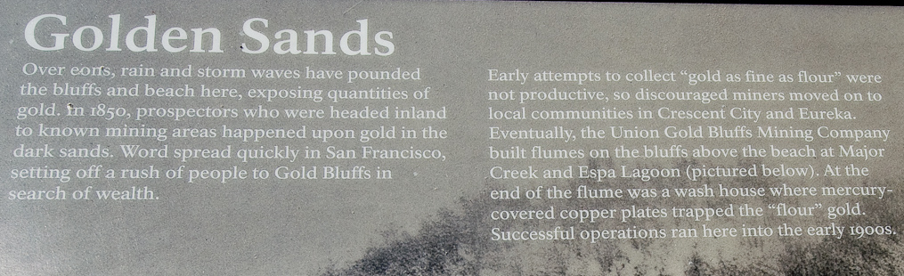 Gold Sands   Redwood National Park