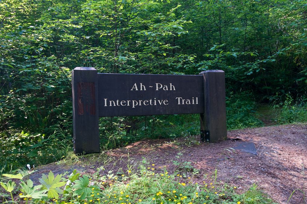 Ah-Pah Trail   Prairie Creek Redwood California State Park