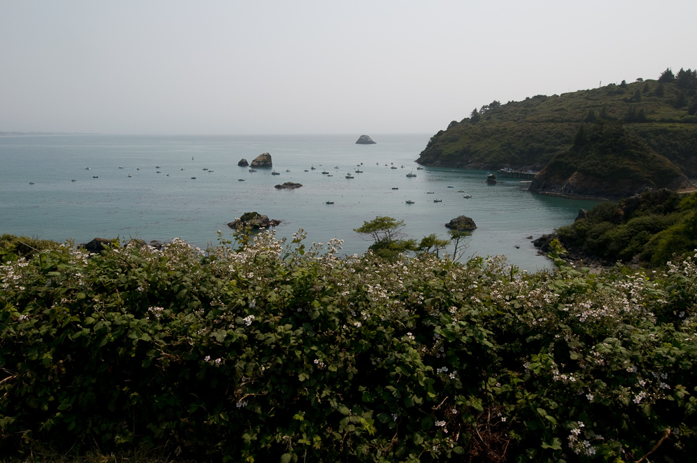    Trinidad, California