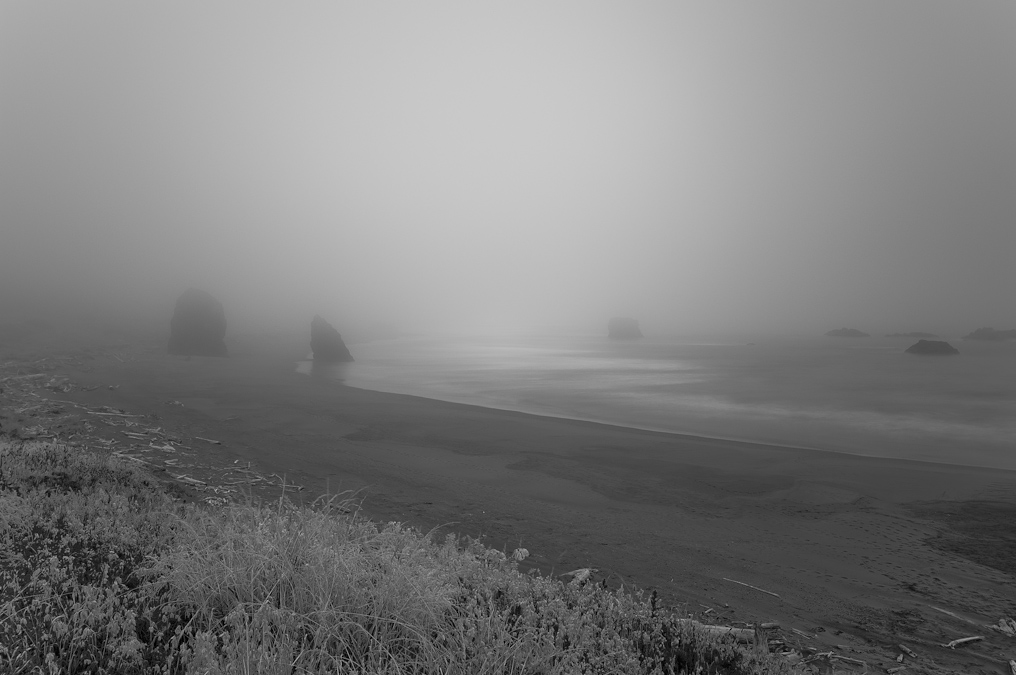 IR Filter and Long Exposure   Pistol River State Park