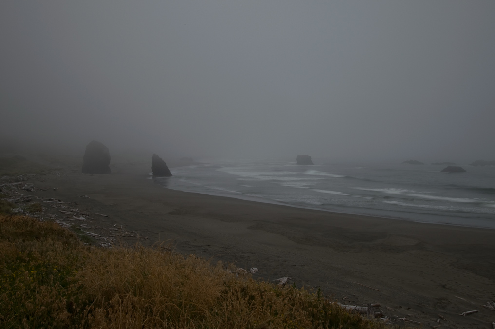 Foggy Coastline   Pistol River State Park