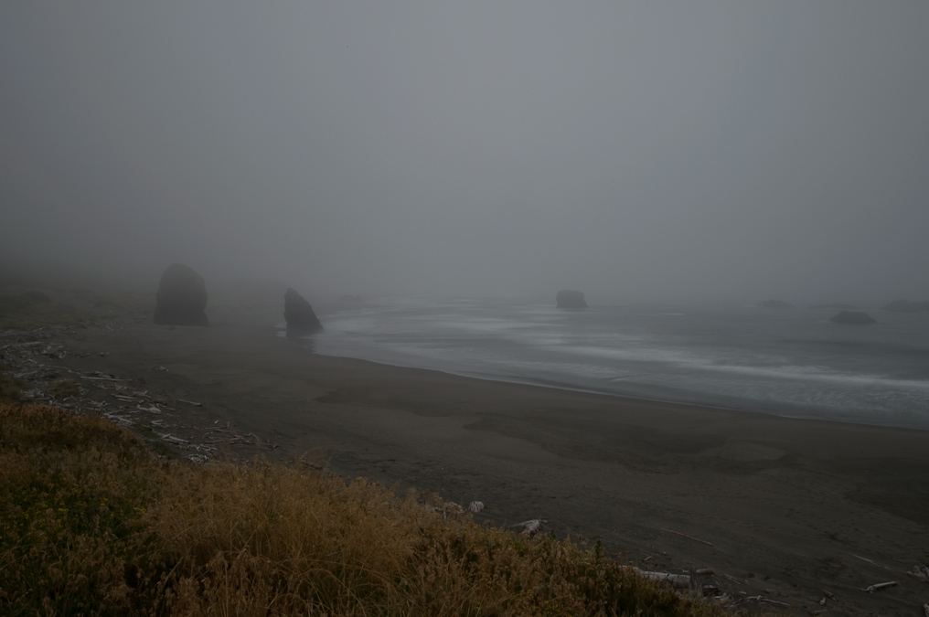 Foggy Coastline   Pistol River State Park