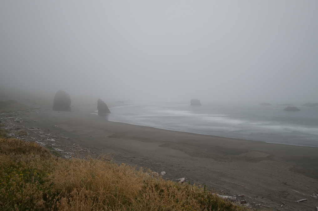Foggy Coastline   Pistol River State Park