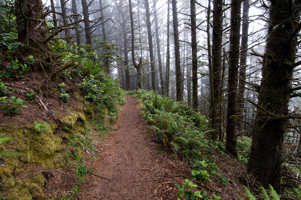 Coastline Trail   Cape Sebastian State Park