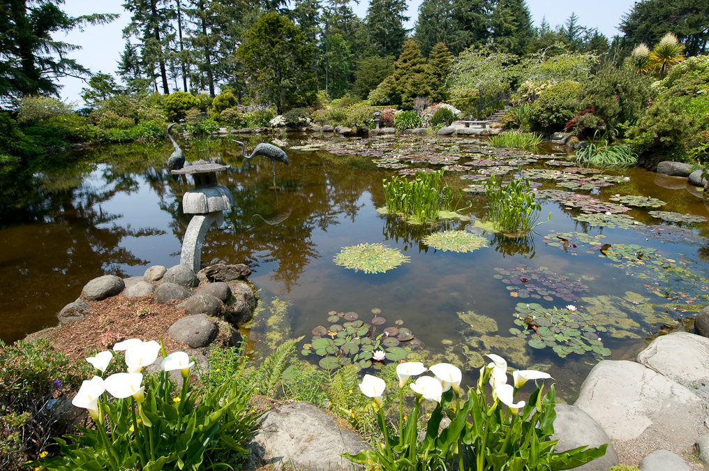 Garden Lake   Shore Acres State Park