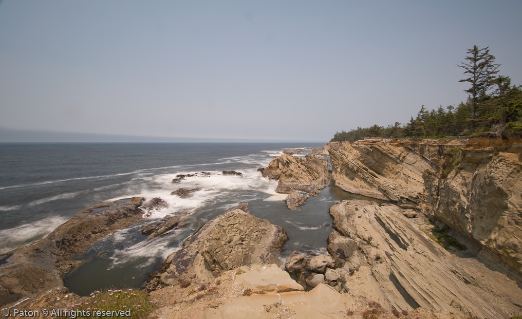 Coastline with Sunlight!   Shore Acres State Park