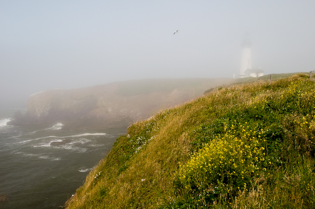Yaquina Head Lighthouse   Yaquina Head