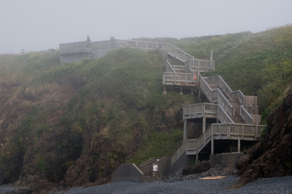 Stairway Down to the Beach   Yaquina Head
