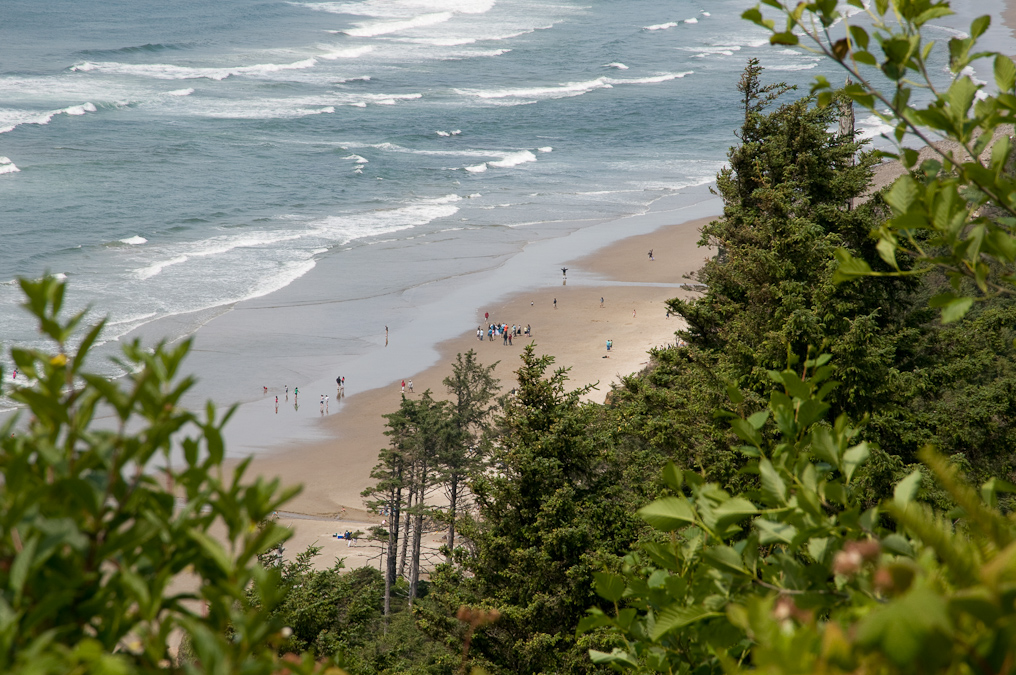 Something Going on Down at the Beach   Cape Lookout Oregon State Park
