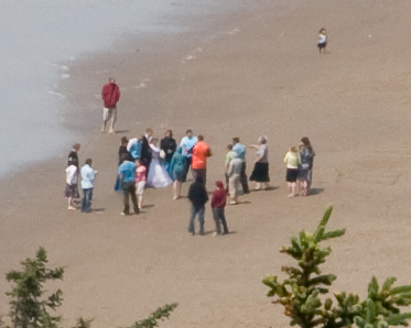 It's a Wedding   Cape Lookout Oregon State Park