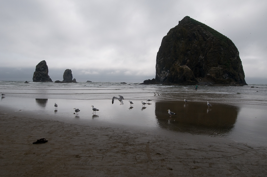 Haystack   Cannon Beach, Oregon
