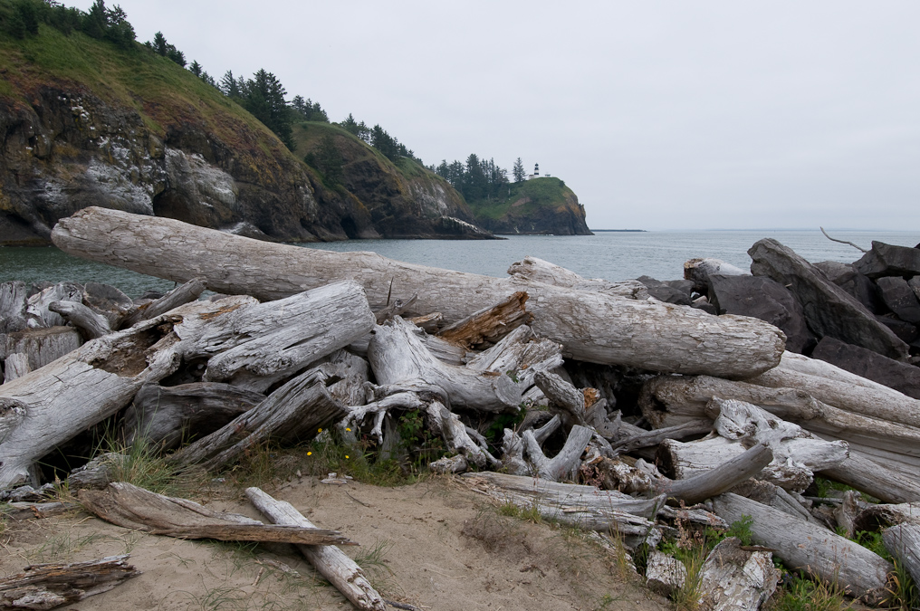 Driftwood Near Cape Disappointment Lighthouse   Cape Disappointment Washington State Park