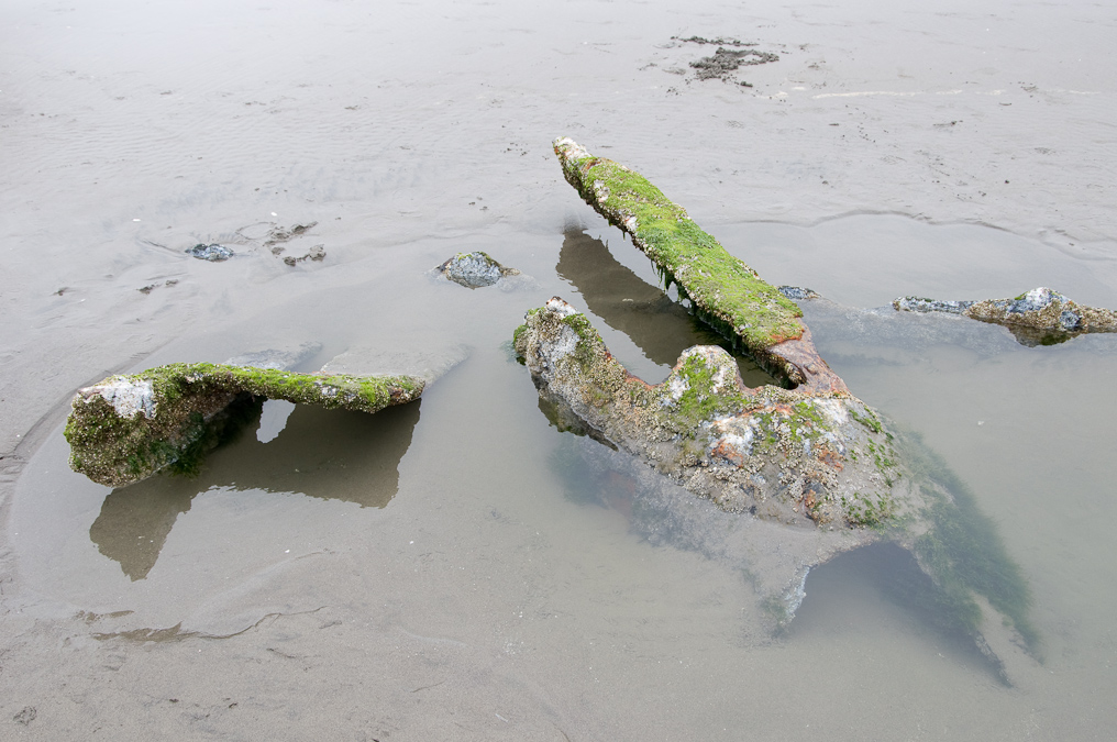 Shipwreck   Fort Stevens Oregon State Park