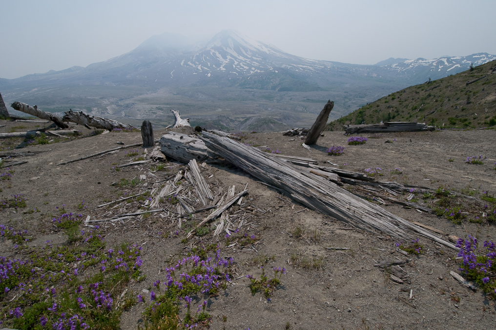    Mount St. Helens National Volcanic Monument