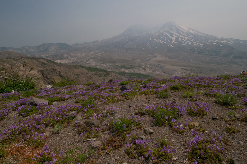    Mount St. Helens National Volcanic Monument