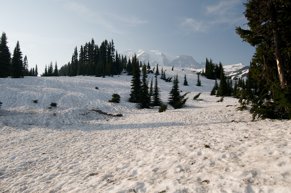 View Behind the Inn   Mount Rainier National Park