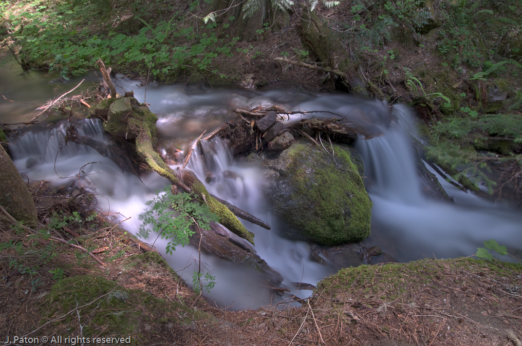 Another Stream Near Silver Falls   Mount Rainier National Park