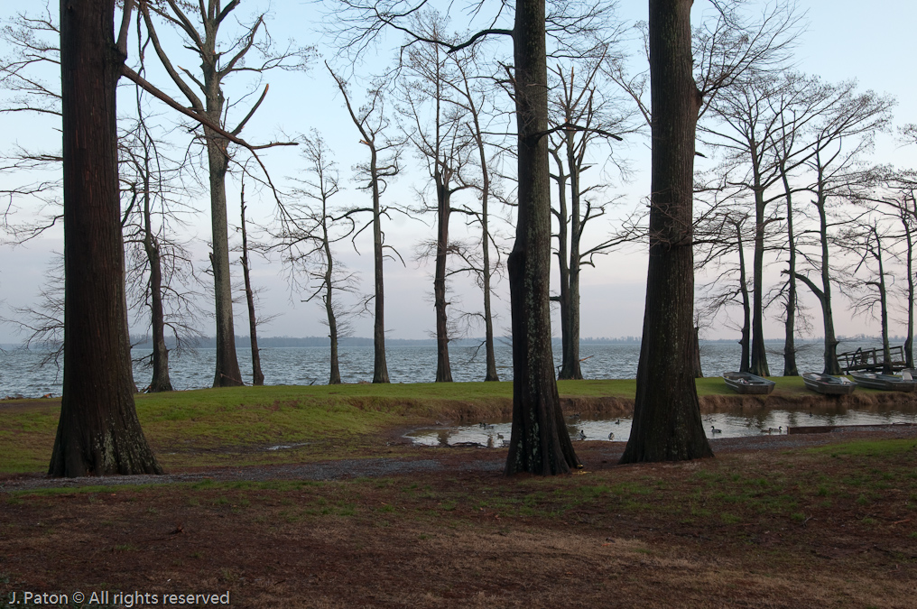 FIrst View of Reelfoot Lake   Near Reelfoot Lake, Tennessee