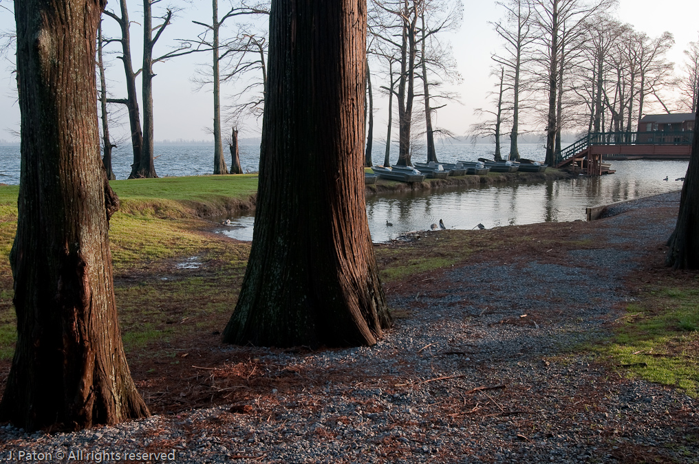 Another View   Near Reelfoot Lake, Tennessee