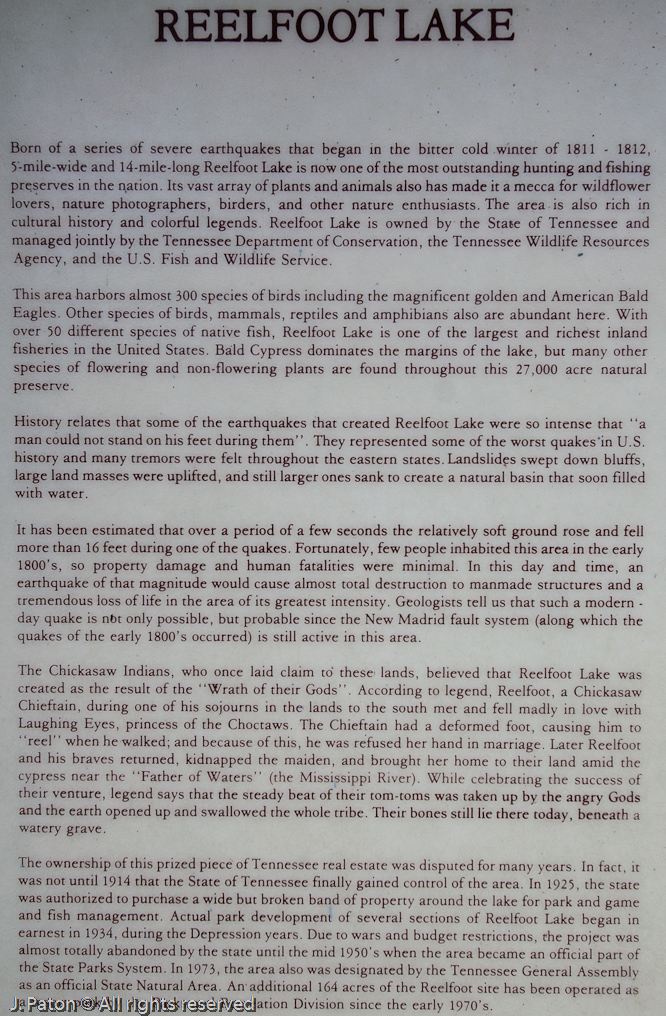    Reelfoot State Park, Tennessee