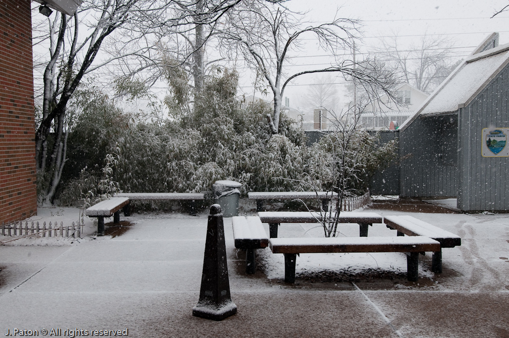Accumulating Quickly   Reelfoot State Park, Tennessee