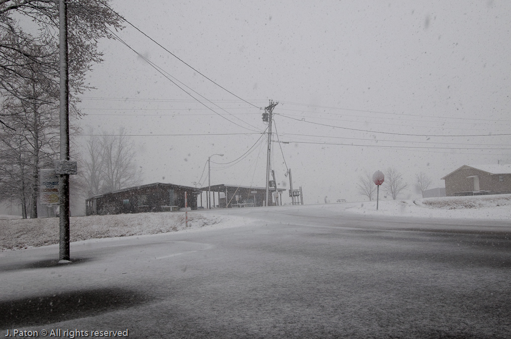 End of the Day   Near Reelfoot Lake, Tennessee