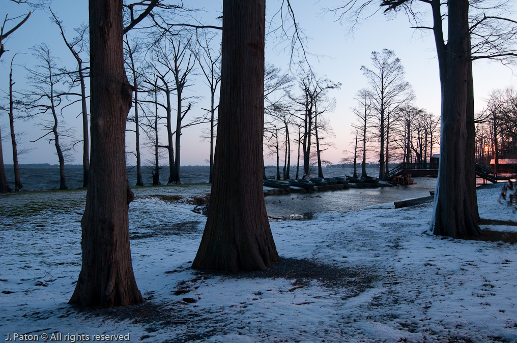    Blue Bank Resort Near Reelfoot Lake, Tennessee