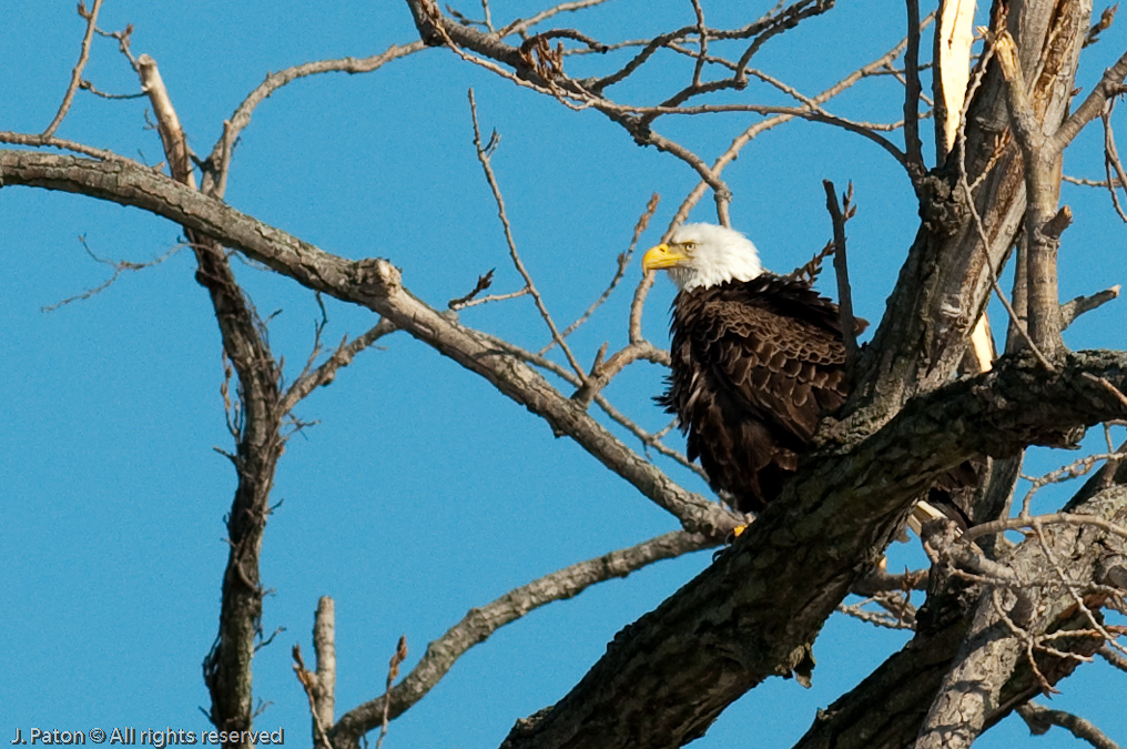 Some Alone Time   Levee Road Near the Mississippi River, Kentucky