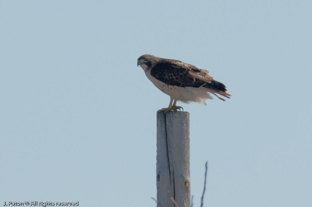 Unknown   Elbow Slough Road, Kentucky