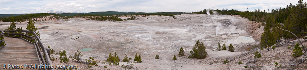 Porcelain Basin   Norris Geyser Basin, Yellowstone National Park, Wyoming