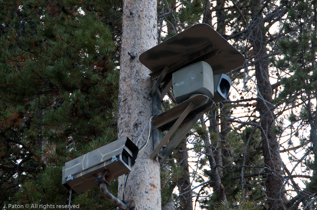    Upper Geyser Basin, Yellowstone National Park, Wyoming
