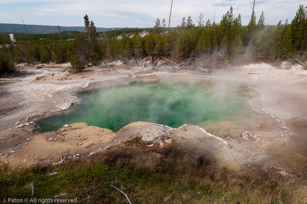Emerald Spring   Norris Geyser Basin, Yellowstone National Park, Wyoming