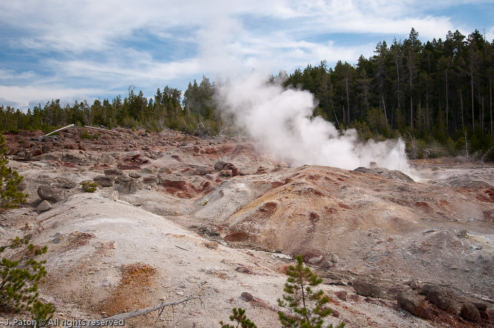 Steamboat Geyser   Norris Geyser Basin, Yellowstone National Park, Wyoming