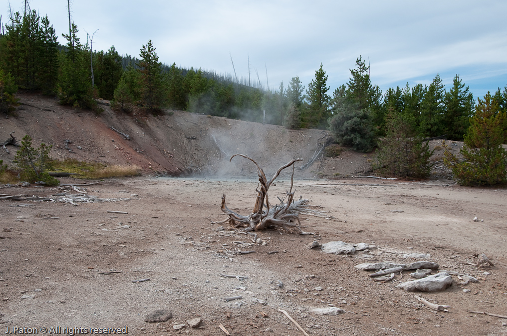 Black Hermit Caldron   Norris Geyser Basin, Yellowstone National Park, Wyoming