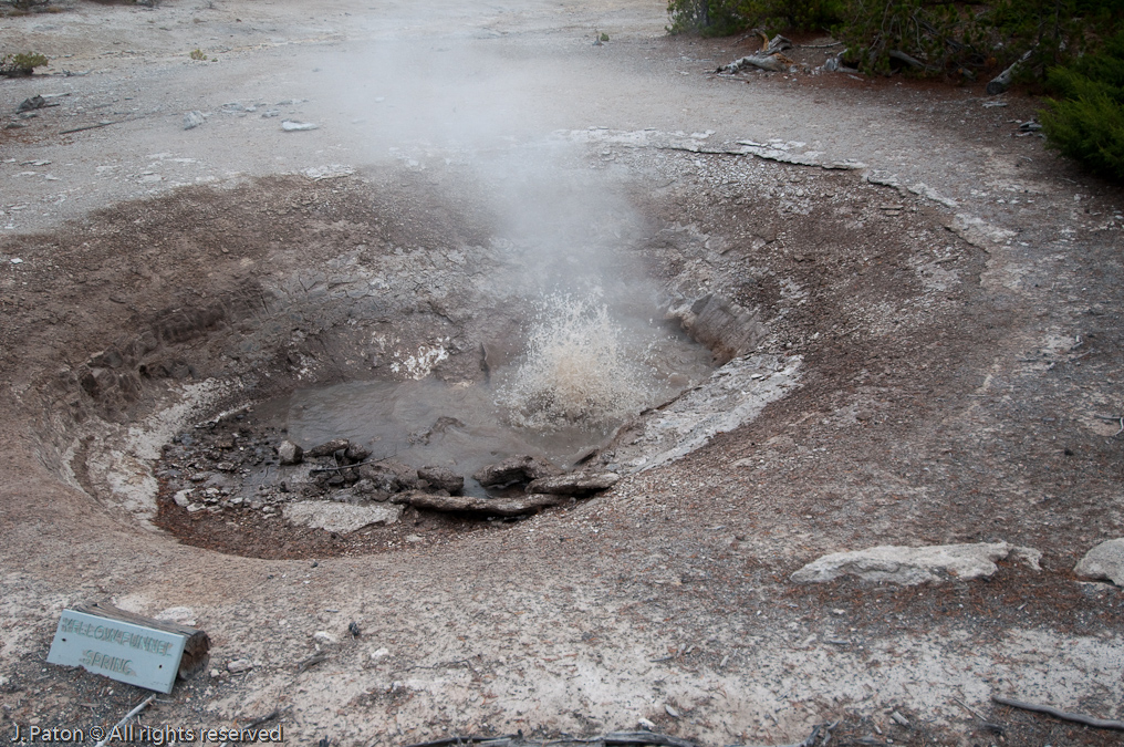 Funnel Spring   Norris Geyser Basin, Yellowstone National Park, Wyoming